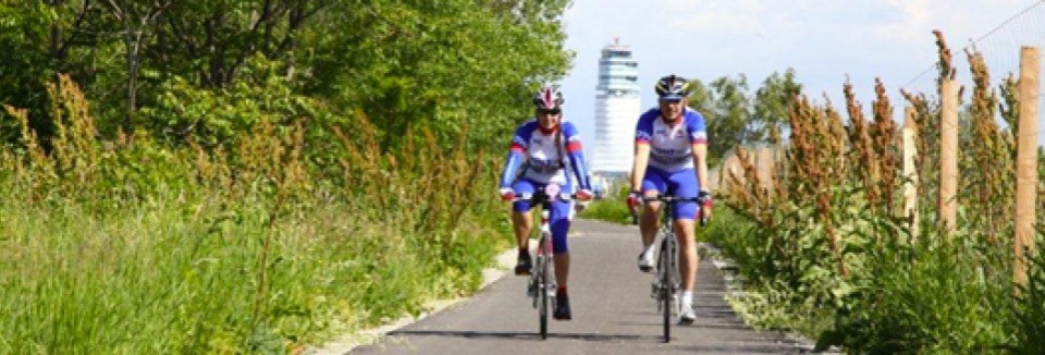 Zwei Radfahrer auf einem Radweg im Grünen, mit Blick auf den Tower des Flughafens Wien im Hintergrund.
