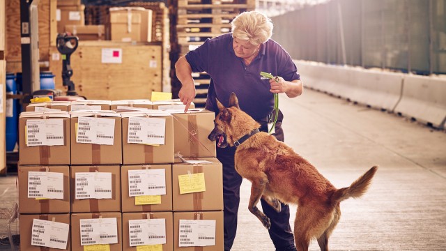 Sicherheitskraft mit Spürhund kontrolliert Pakete in einer Lagerhalle.